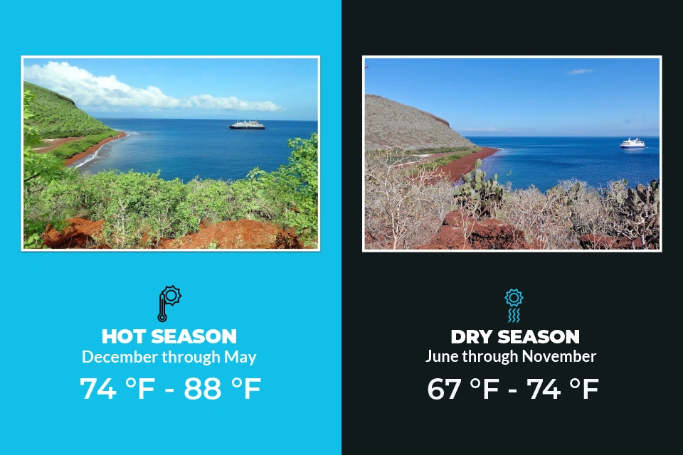 Best Time To Visit Galapagos Seasons