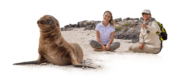 Land Activities - Sea Lion In Galapagos Islands