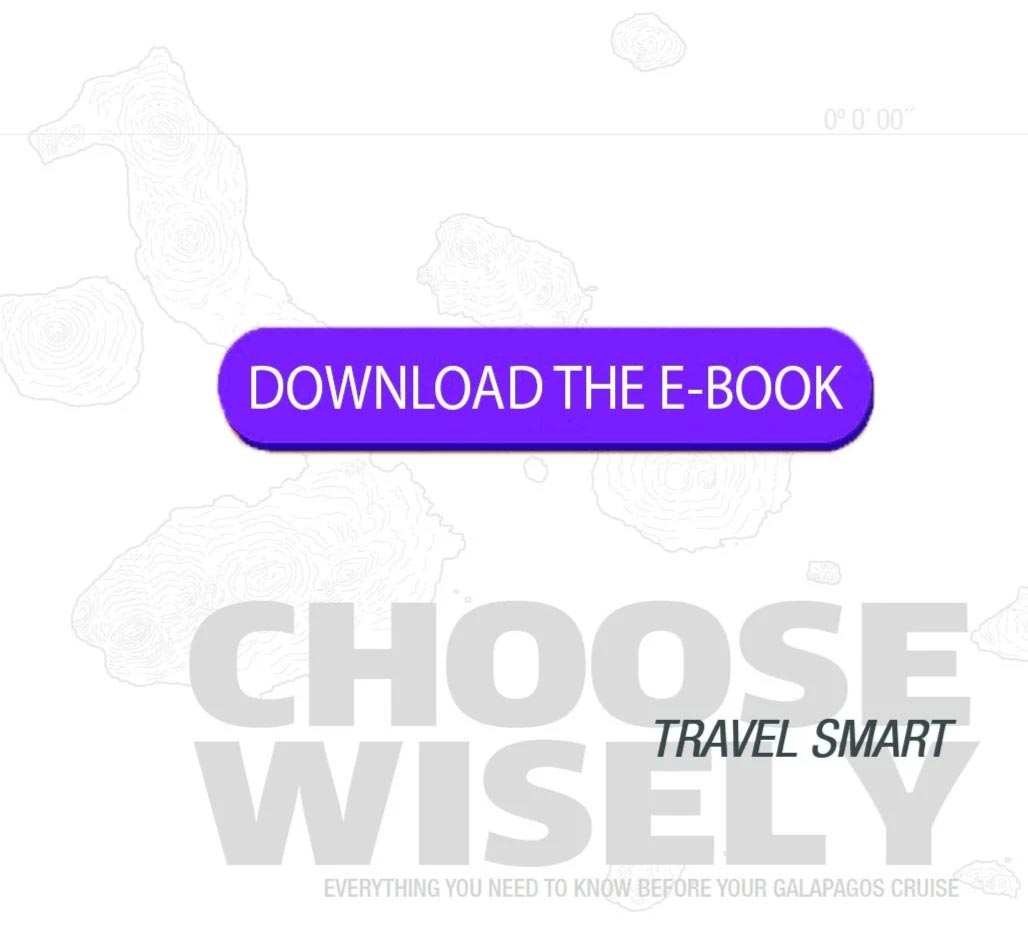 Metropolitan Touring Choose Wisely Travel Smart Ebook