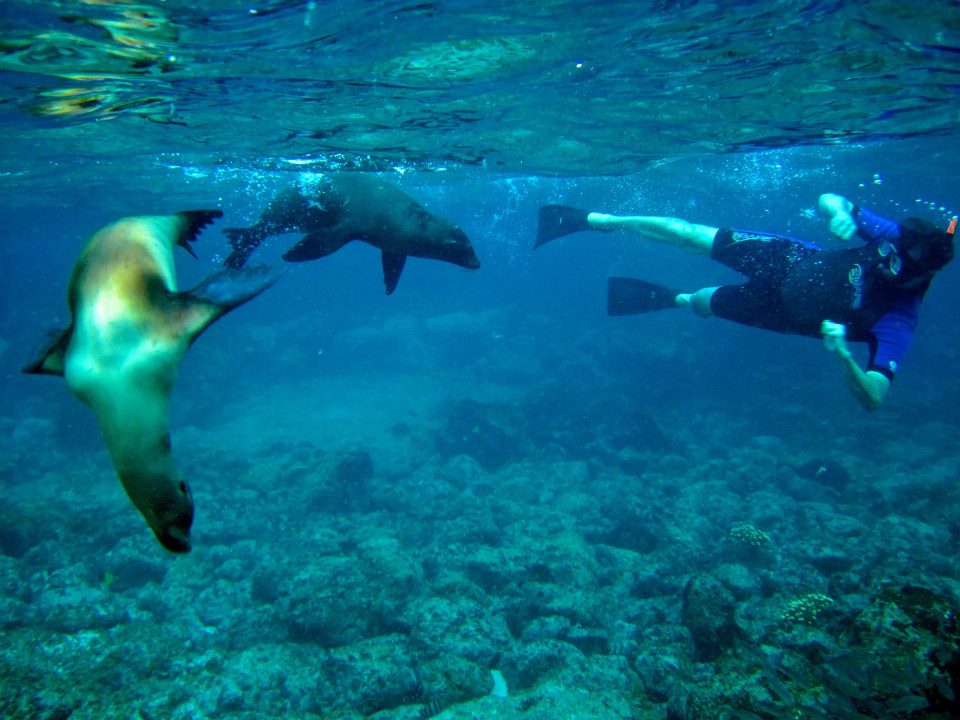 Snorkelling In Galapagos