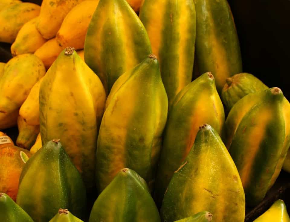 Babaco Fruit In Ecuador. 
