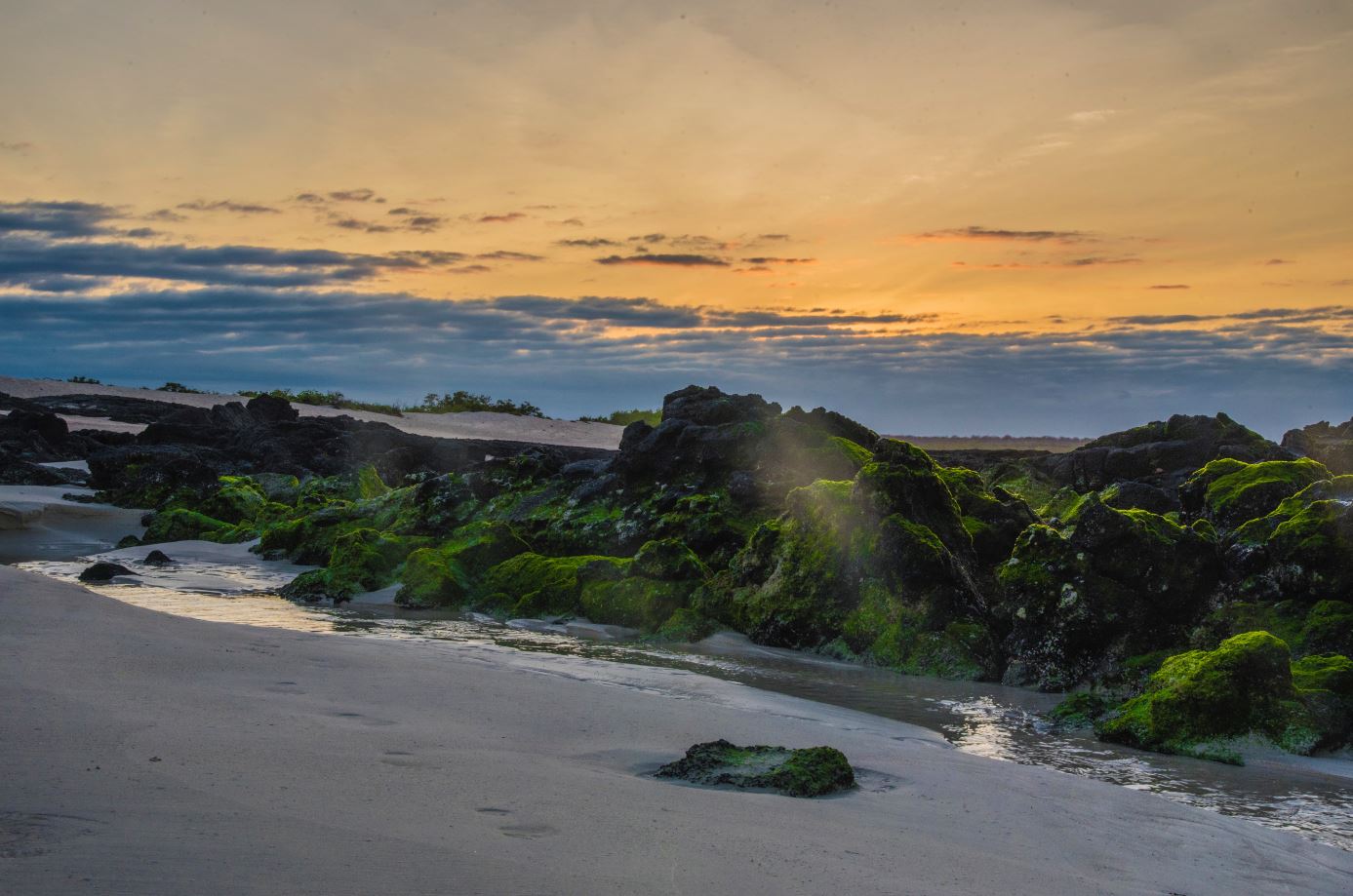 Galapagos Beaches: Las Bachas