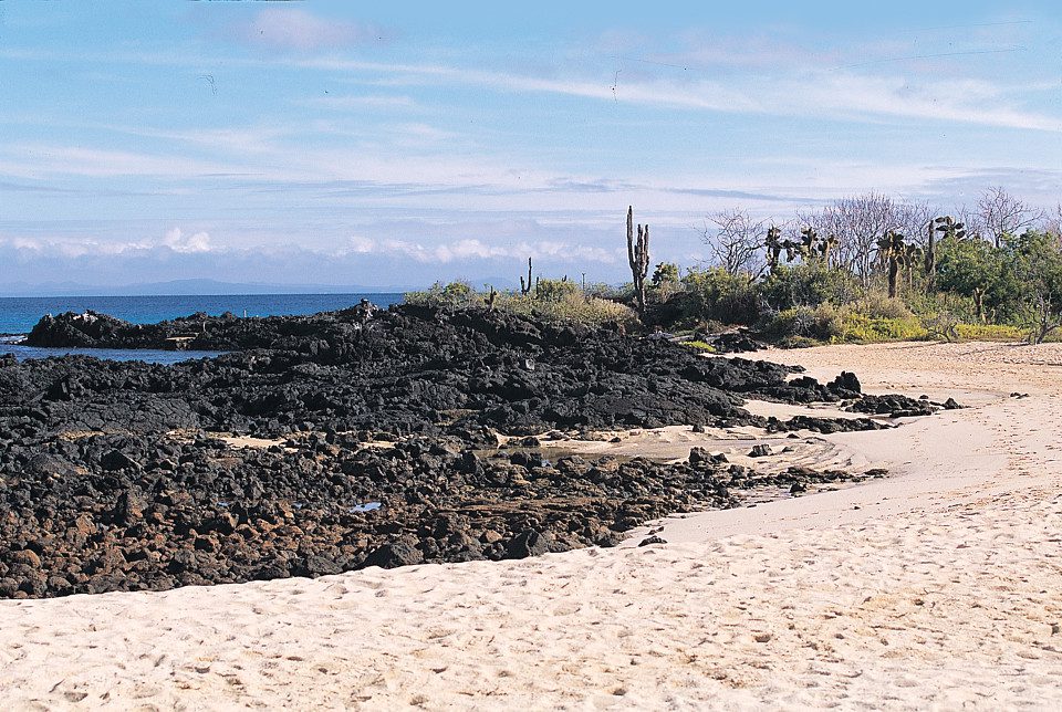 Galapagos Landscape Beach.