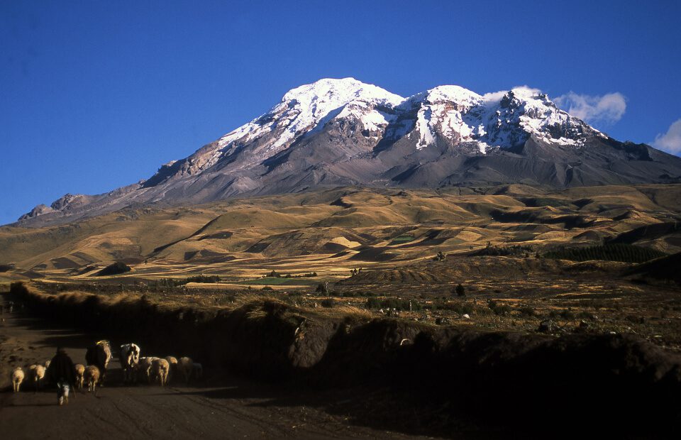 Avenue Of The Volcanos, Chimborazo Landscape. 