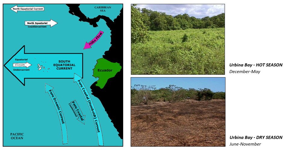 How Galapagos Vegetation Changes From Season To Season