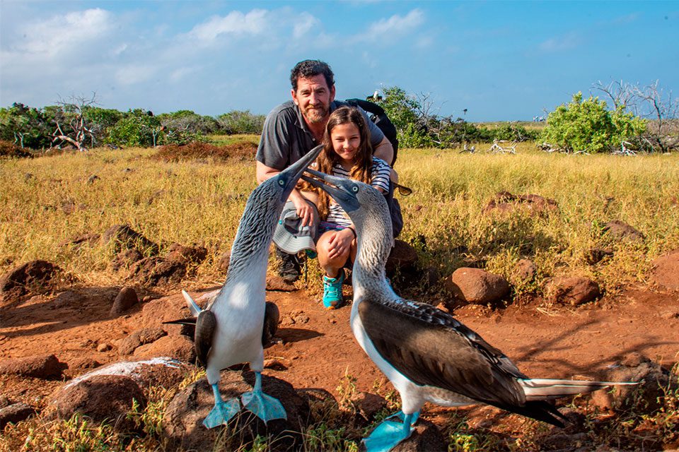 Blue-Footed Boobies And A Family