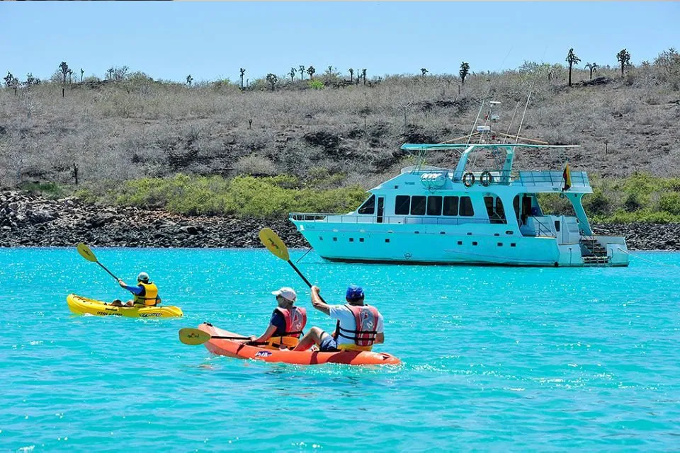 Finch Bay Hotel Guests In The Sea Lion And Kayaking Expeditions.