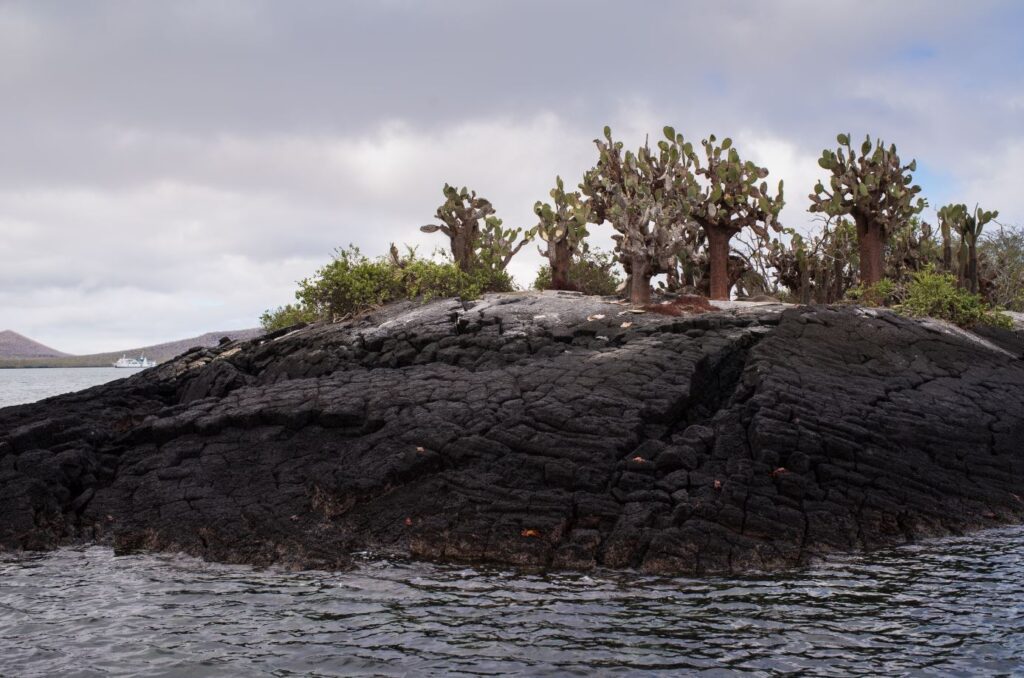 Isla Floreana Galápagos