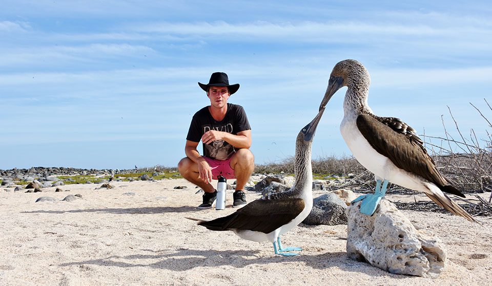 Guest Admiring A Couple Of Blue-Footed Boobies.
