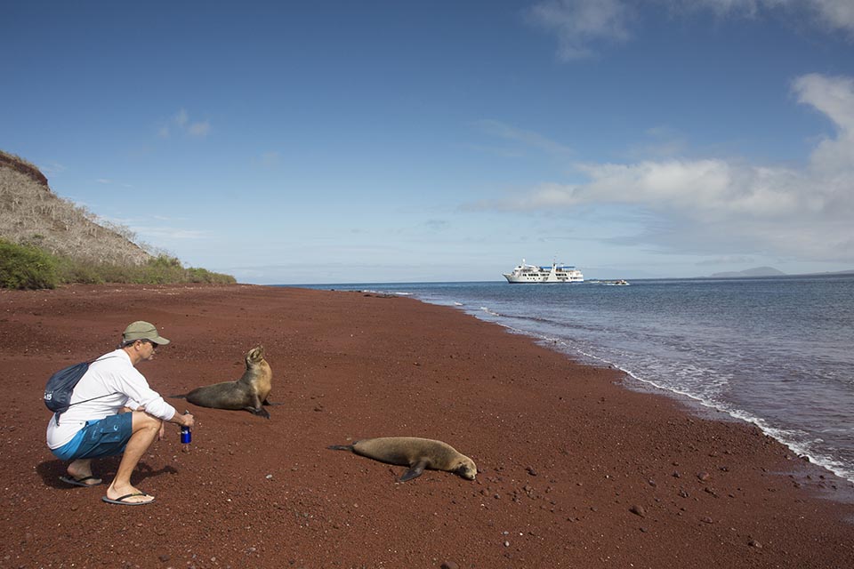 Guest Keeping A Respectful Distance From A Galapagos Sea Lion.