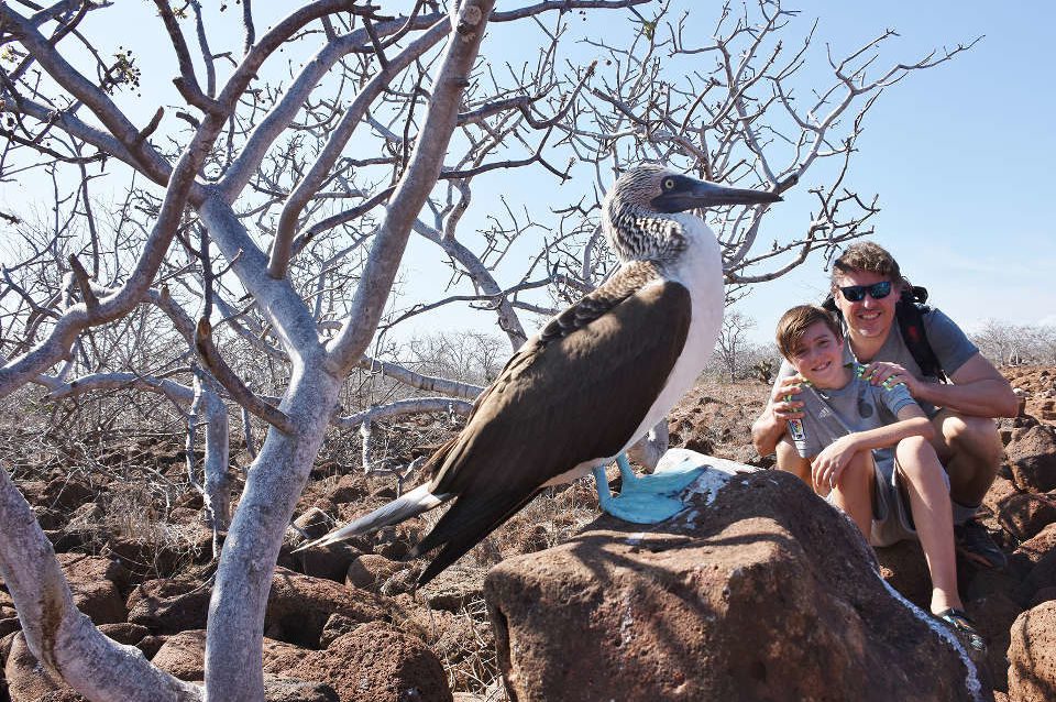 Guests Enconter With A Blue-Footed Booby During A Land Expedition.