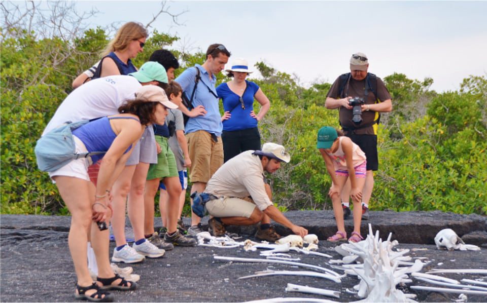 Aprender sobre Galápagos ayuda en su conservación.