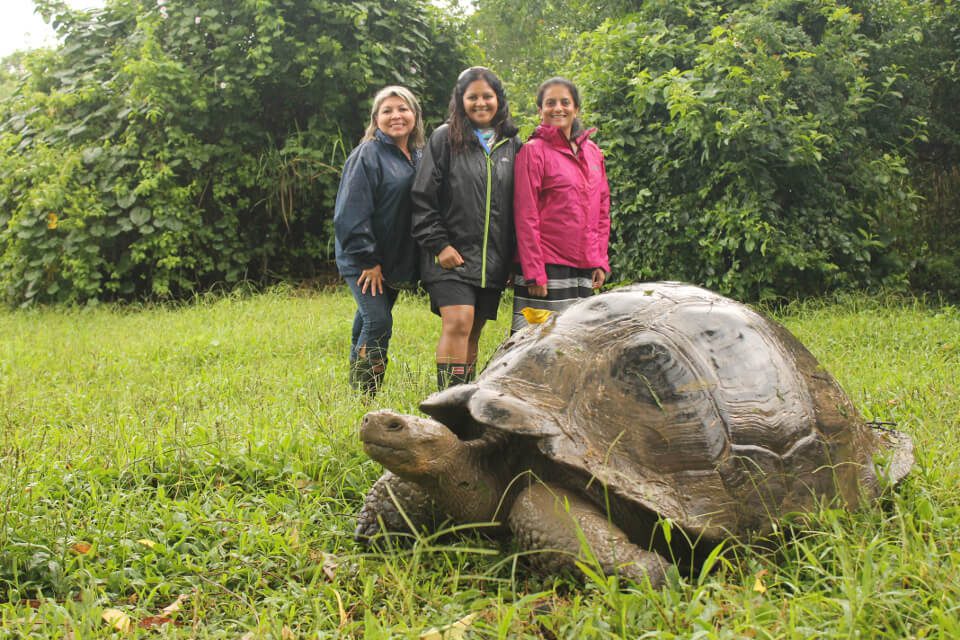 Guests Visiting Giant Tortoises