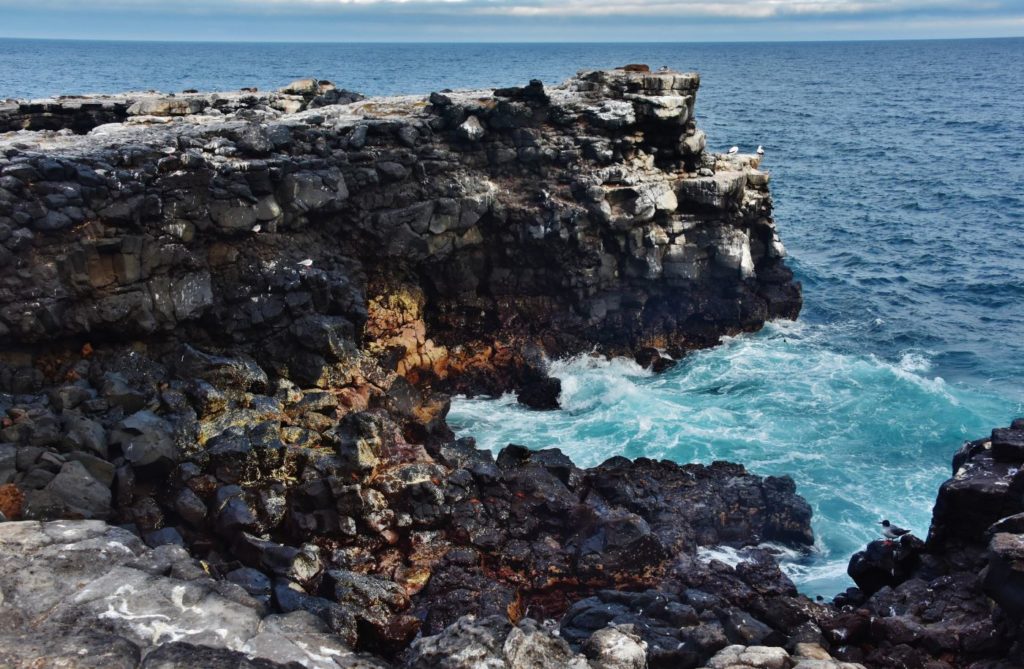 Galapagos Islands: Isabela Island