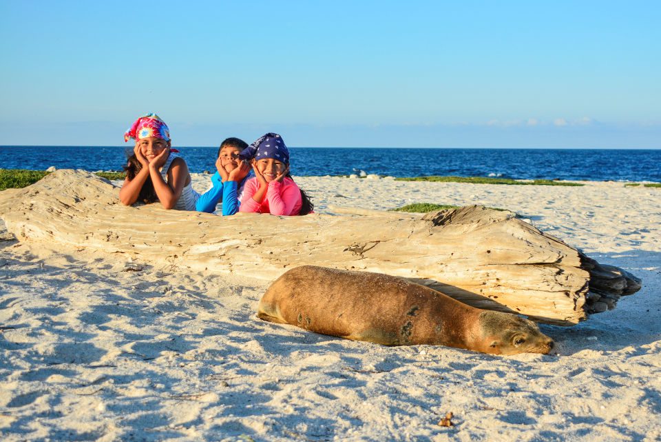 Activities For Kids On A Galapagos Cruise.