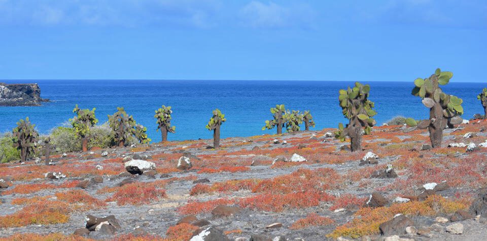 Vista de las Islas Galápagos