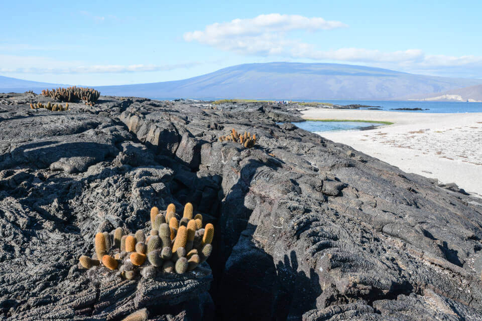 Geología en Galápagos
