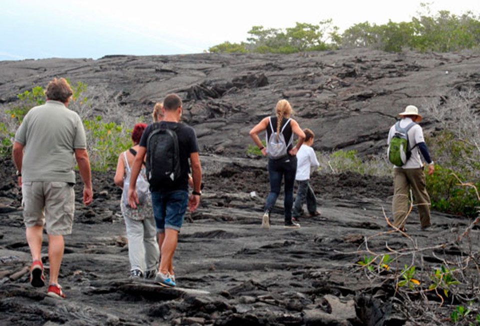 Guests Visiting A Lava Field.