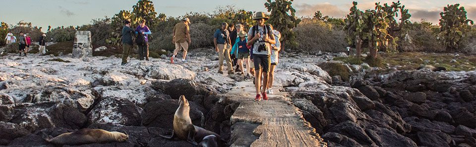 Multiguided Cruises And Excursions In The Galapagos. 