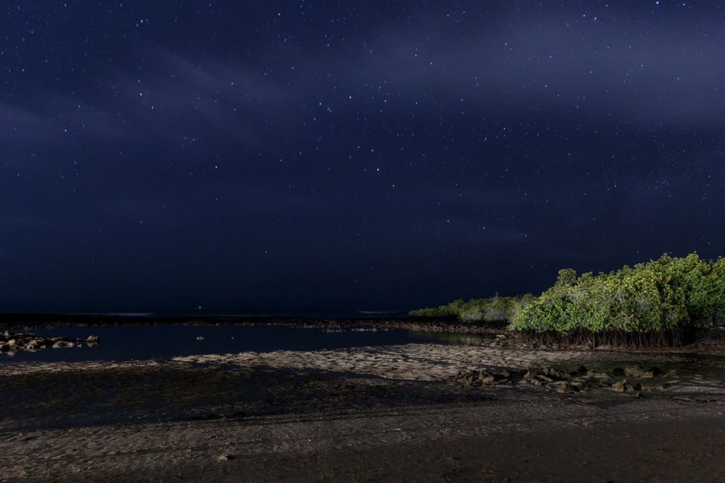 Galapagos Islands At Night