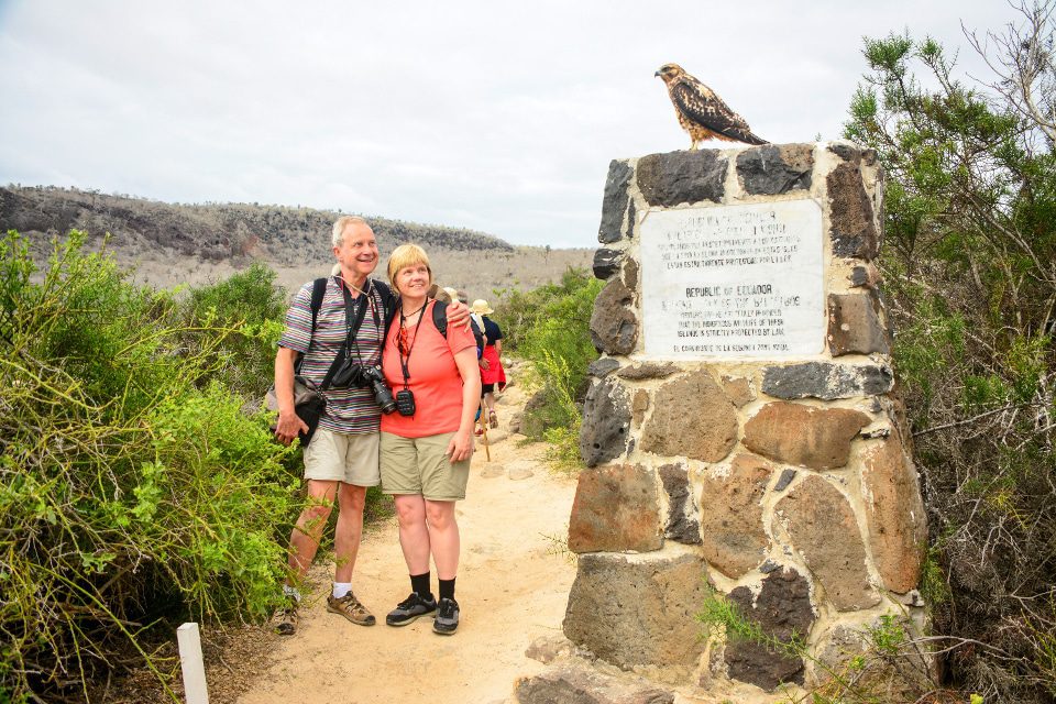 Santa Cruz's Guests Observing A Galapagos Hawk.