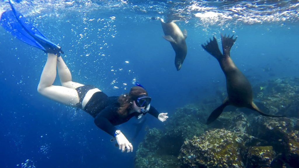 Snorkeling In Galapagos.