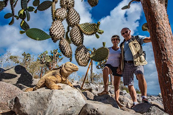 Couple Posing With Santa Fe Island's Endemic Land Iguana In Galapagos