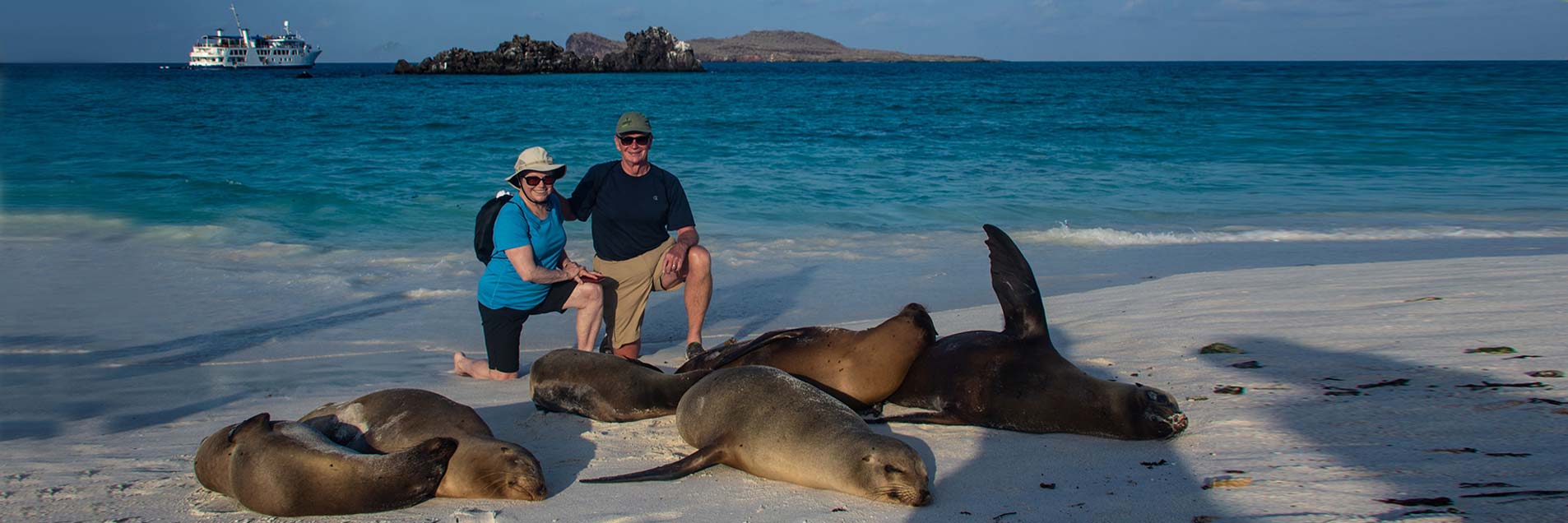 Galapagos Wildlife: Sea Lions