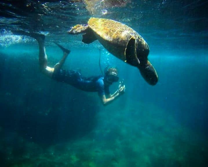 Snorkeling con tortugas marinas en Galápagos
