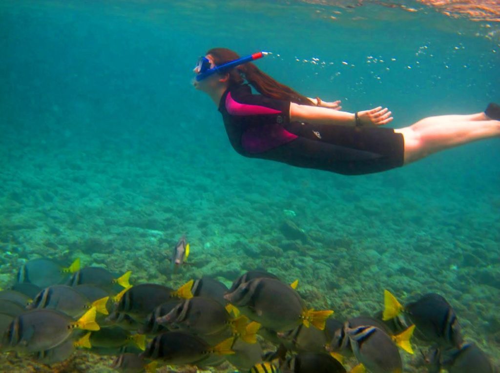 Actividades en Galápagos: Snorkeling