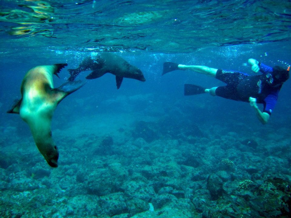 Galapagos Aquatic Activities Include Snorkeling