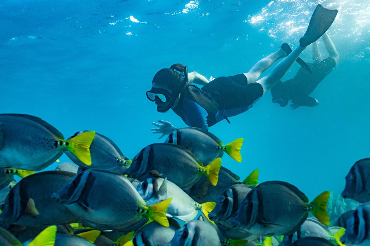 Snorkel con peces en las Islas Galápagos