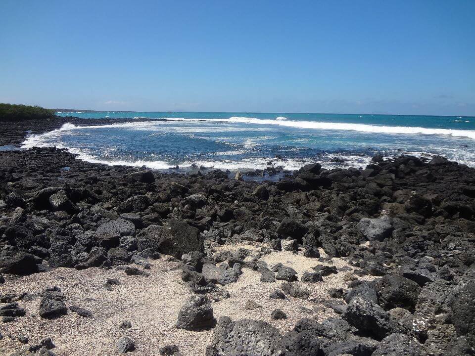 Tortuga Bay En La Isla Santa Cruz En Galápagos. 