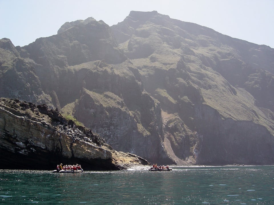 Galapagos Islands, Vicente Roca Cliff. 