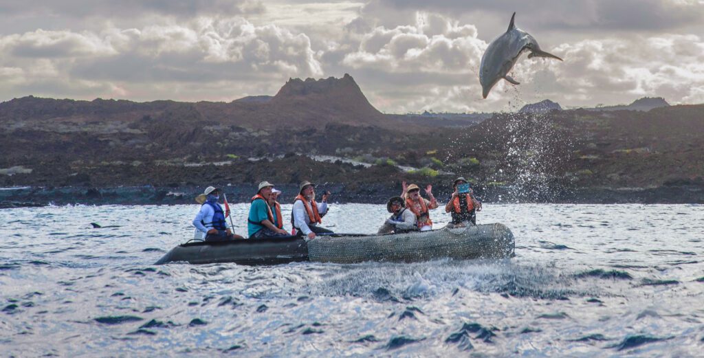 Dolphin Panga Ride Group Galapagos Islands