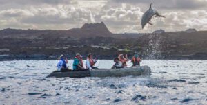 Paseo en Panga Delfín Islas Galápagos