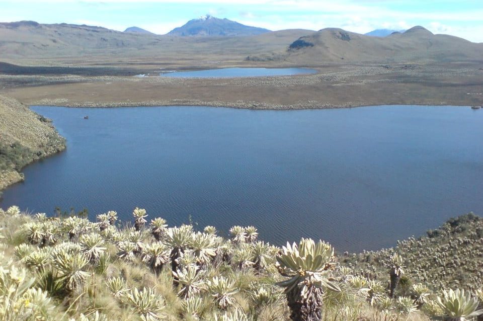 El Angel Ecological Reserve Ecuador