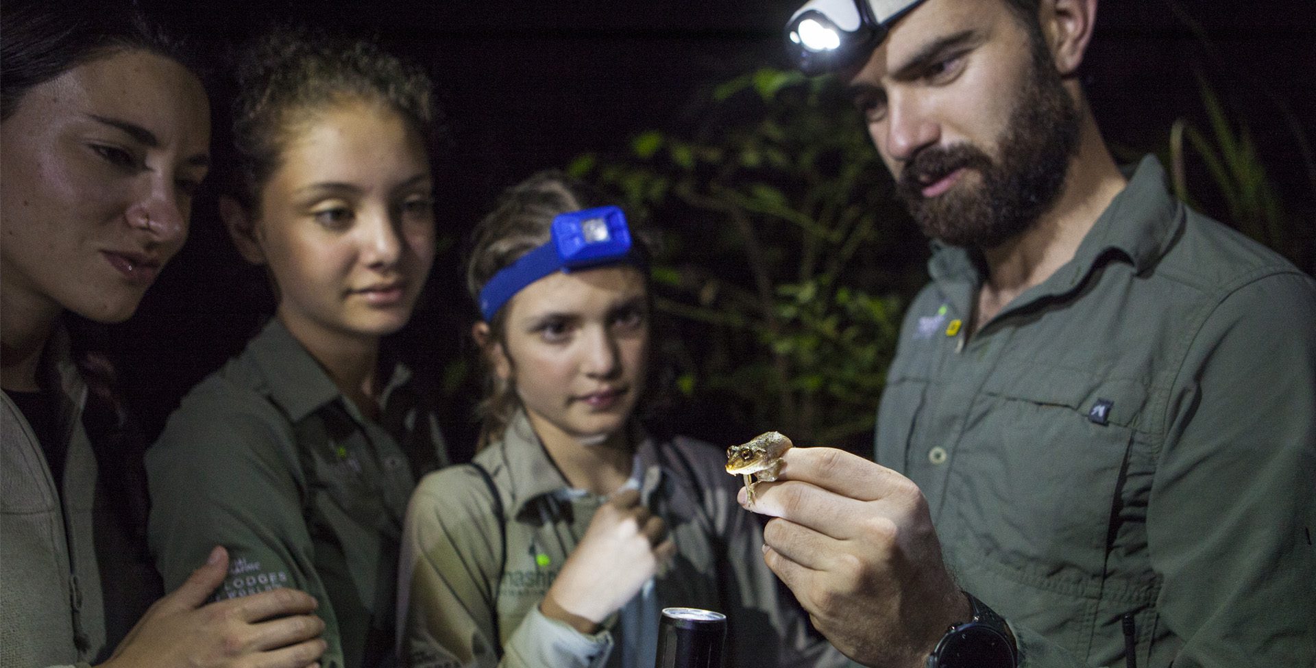 Mashpi Lodge Caminata nocturna Exploración de ranas