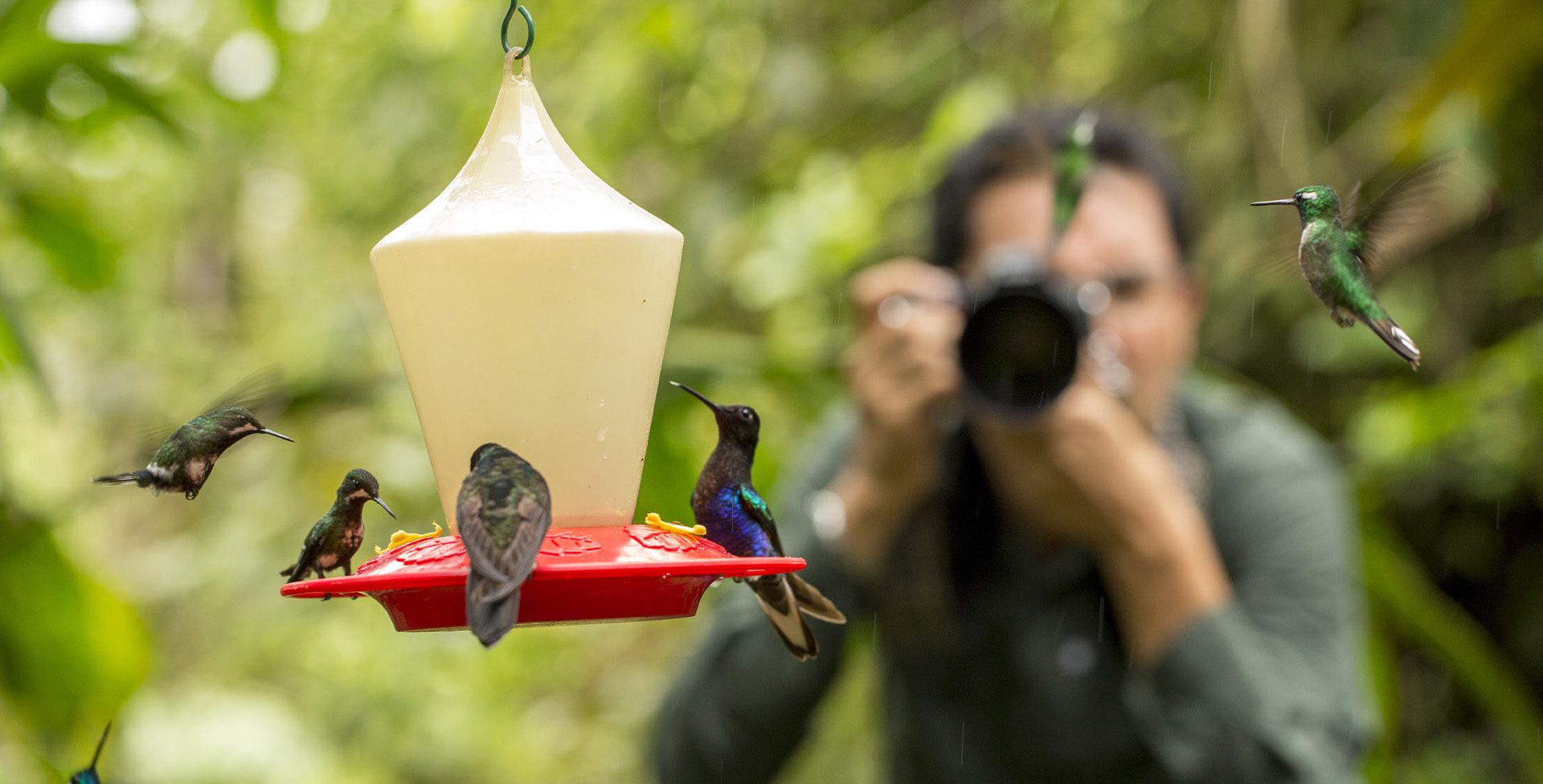 Mashpi Lodge Reserve Photography Hummingbird