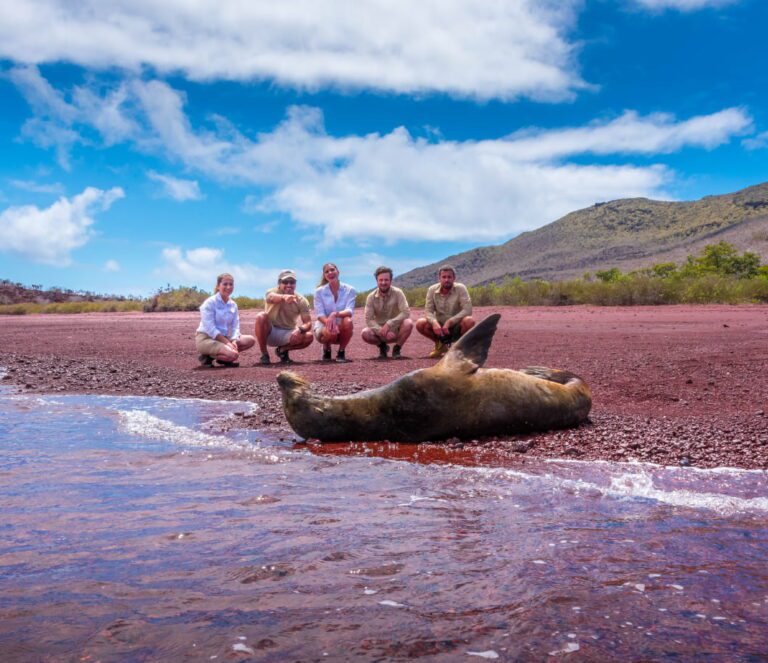 Group Of Guests And Sea Lion - Rábida Island