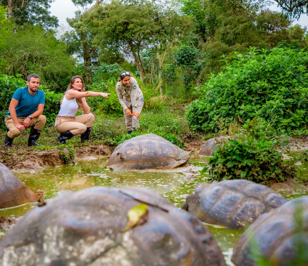 Group of Guests and Turtles - Santa Cruz Island