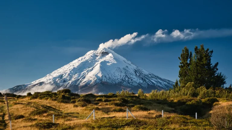 Volcán del Parque Nacional Cotopaxi Volcán del Parque Nacional Cotopaxi