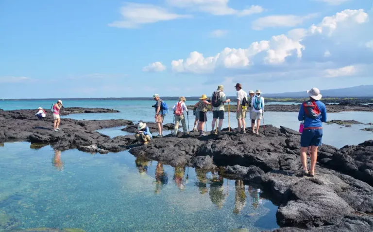 Isla Fernandina Galápagos