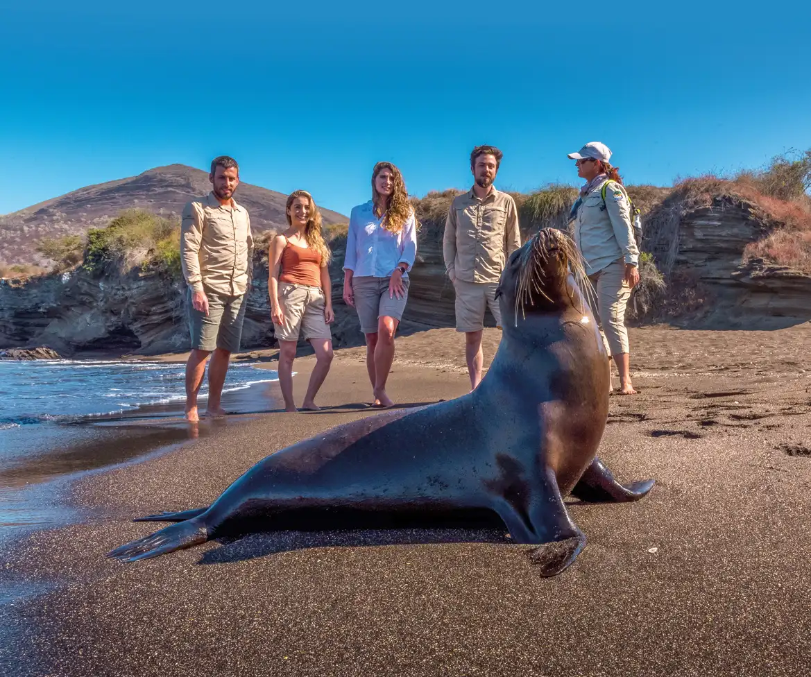 Galapagos Islands Sea Lion