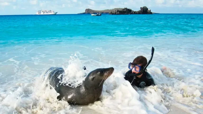 Niño haciendo snorkel en Galápagos