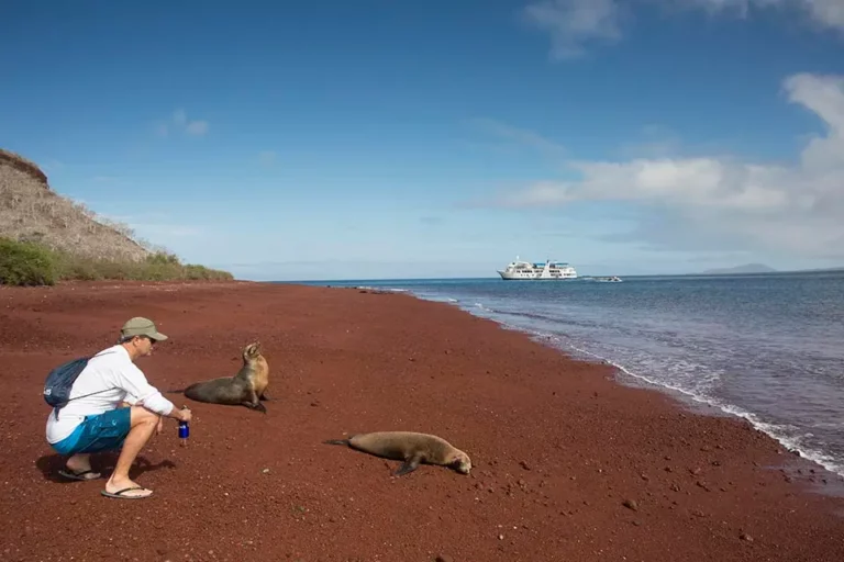 Sea Lion Encounter Guest Galapagos