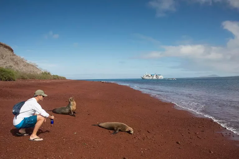 Encuentro con Lobos Marinos Invitado Galápagos