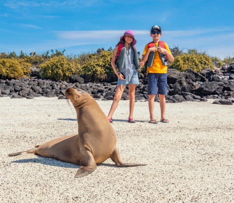 Galapagos Kids Sea Lion