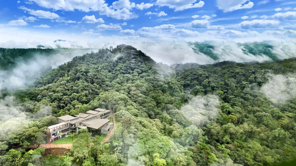 Vista Panorámica de Mashpi