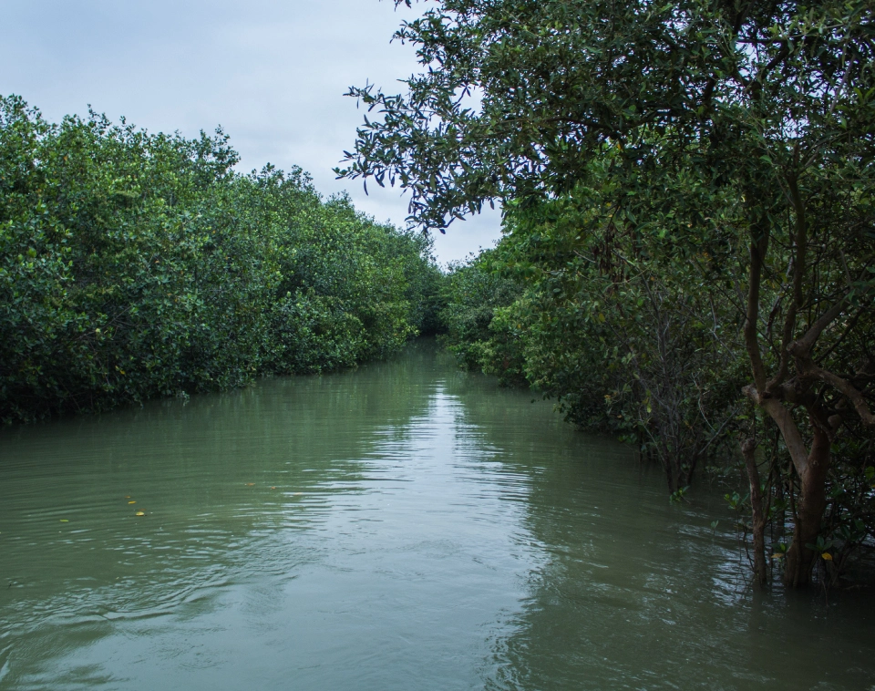 Destination Peru Northern Beaches Tumbes Mangroves Destination Peru Northern Beaches Tumbes Mangroves
